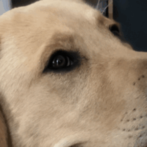 Profile photo of Aaron Yao